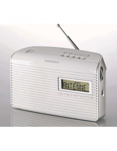 RADIO DIGITAL GRUNDIG RED Y PILAS...